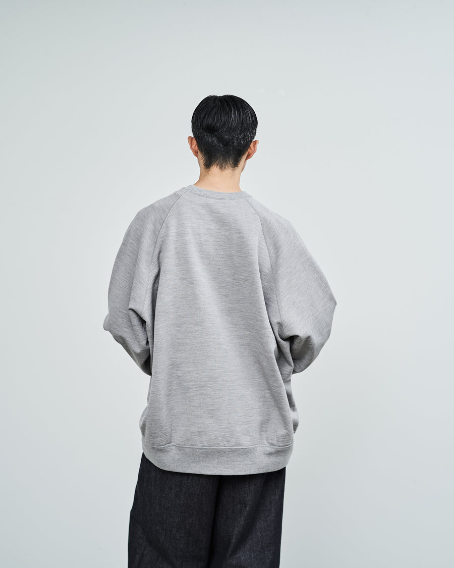 Wool Terry Crew Neck Sweat